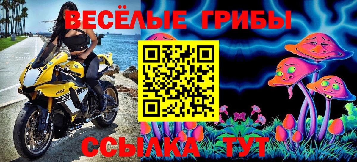 Галлюциногенные грибы мицелий Советская Гавань