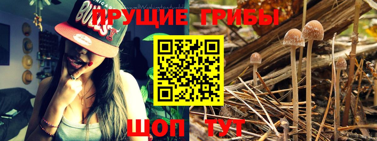 Советская Гавань  Галлюциногенные грибы MAGIC MUSHROOMS  Вход с VPN 